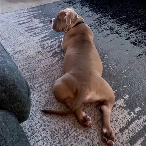 Meet your Posher, Jason